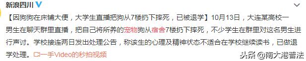 大学宿舍养狗什么处分最严重,大学生在宿舍养猪被通报批评