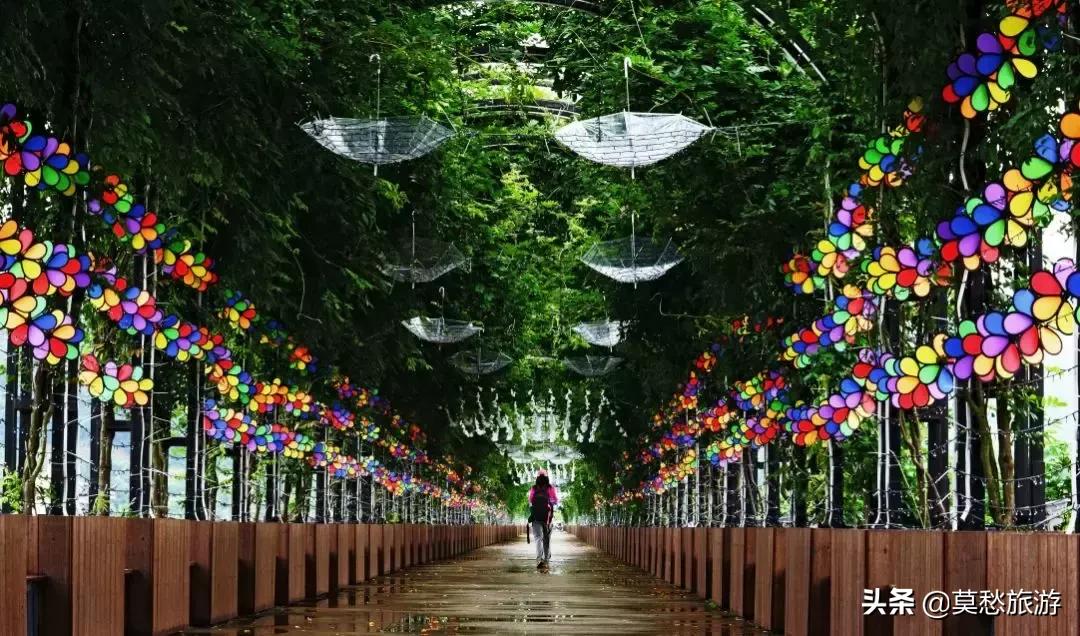 南京怪坡风景区,江宁怪坡风景区