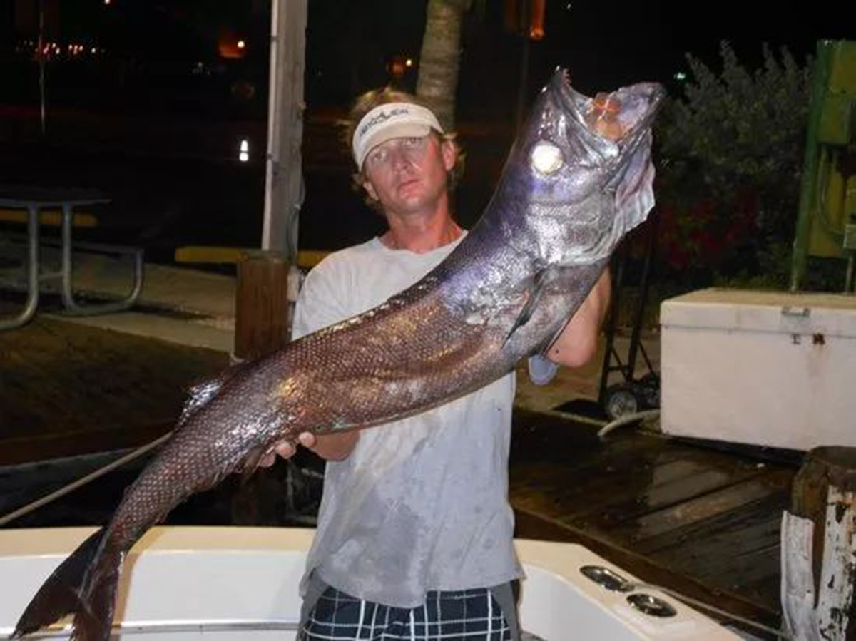 名不虚传的费裤衩鱼,吃完化身喷油射手,香滑口感带来尴尬境遇