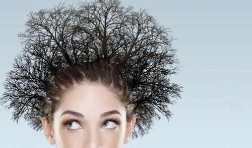 头发全都开叉了有什么补救方法,刚长出的头发就开叉是什么原因