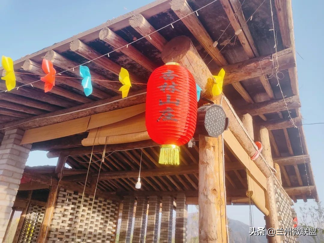 杏林湖黑天鹅,五一假期观光兰州