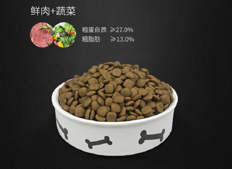 泰迪的十大冷知识,泰迪到底能聪明到什么程度