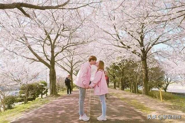 涓嶈琚竴鏃剁殑娴极鍐叉槒澶磋剳,涓嶈琚氮婕墍璇