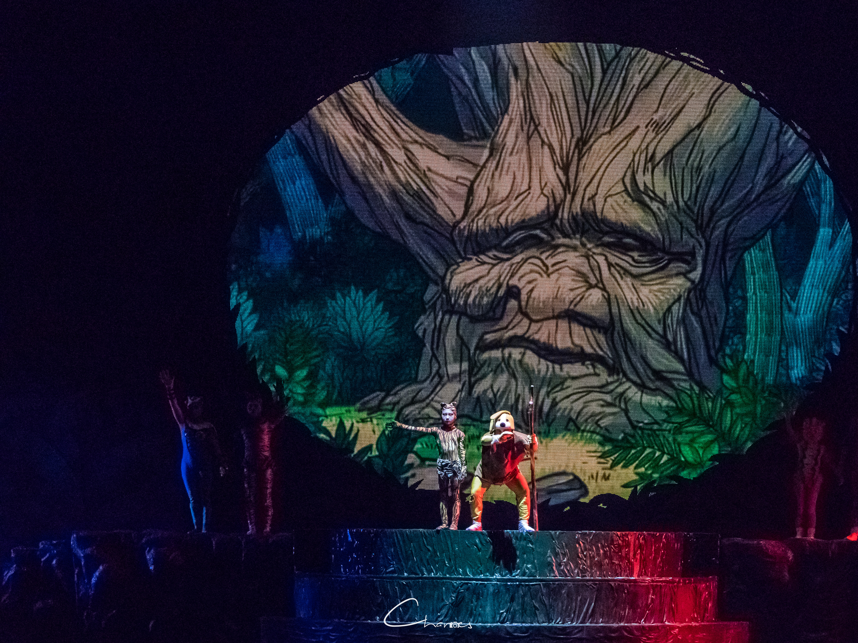 方特梦幻王国圣诞节,厦门方特奇幻之旅