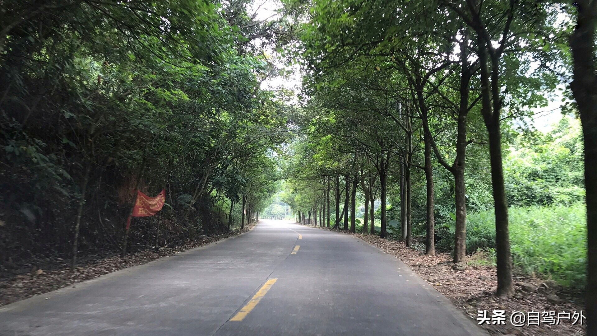 惠州明月山庄露营,罗浮山休闲竹林露营地