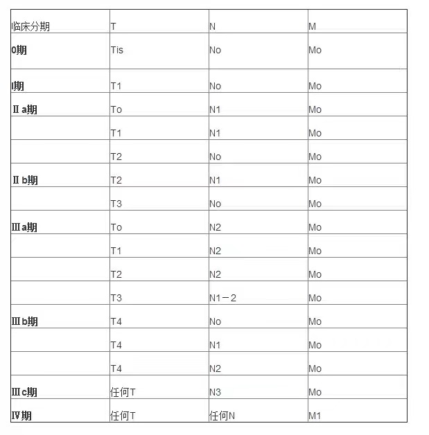浸润性乳腺癌病理分型及预后,乳腺癌的病理分型和预后