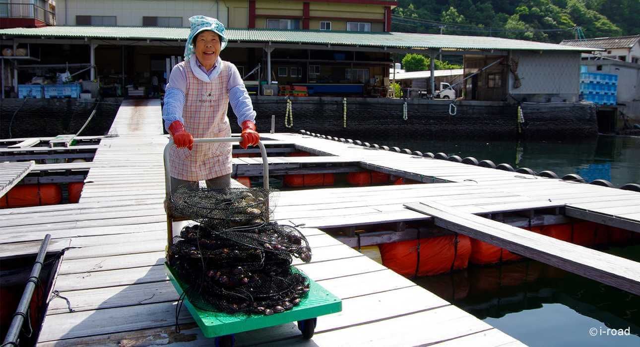 海胆到底多好吃,海胆原来是这么吃的