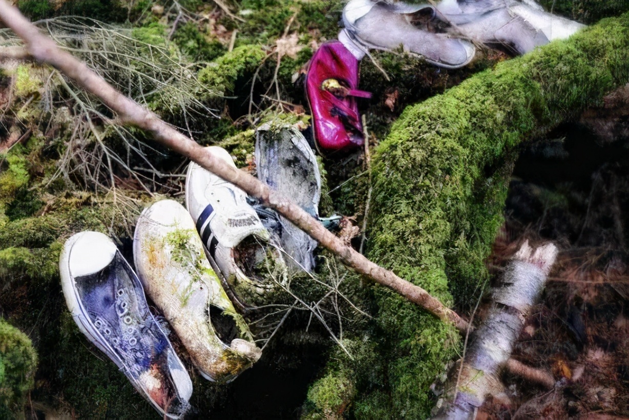 在日本被誉为“自杀森林”的青木原树海是什么地方