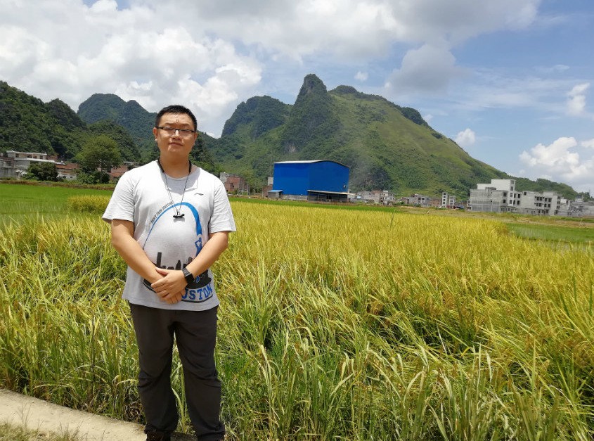 广西农特产品网网友是怎样分析米豆果蔬优质好吃原因的