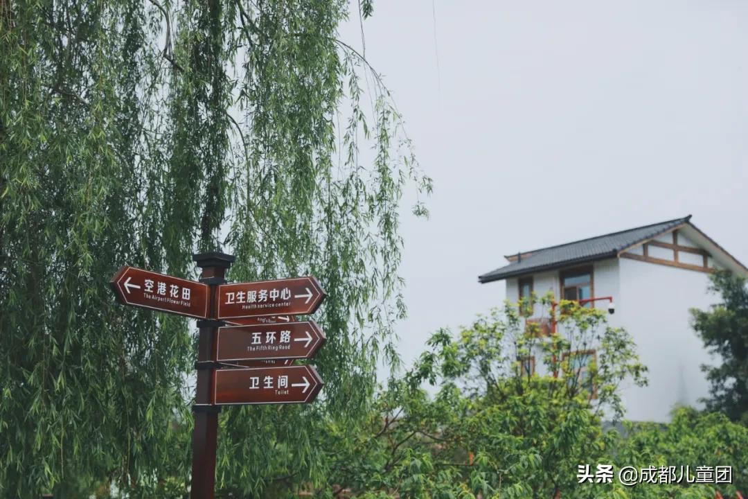 双流空港体育公园看飞机攻略,周末去空港花田