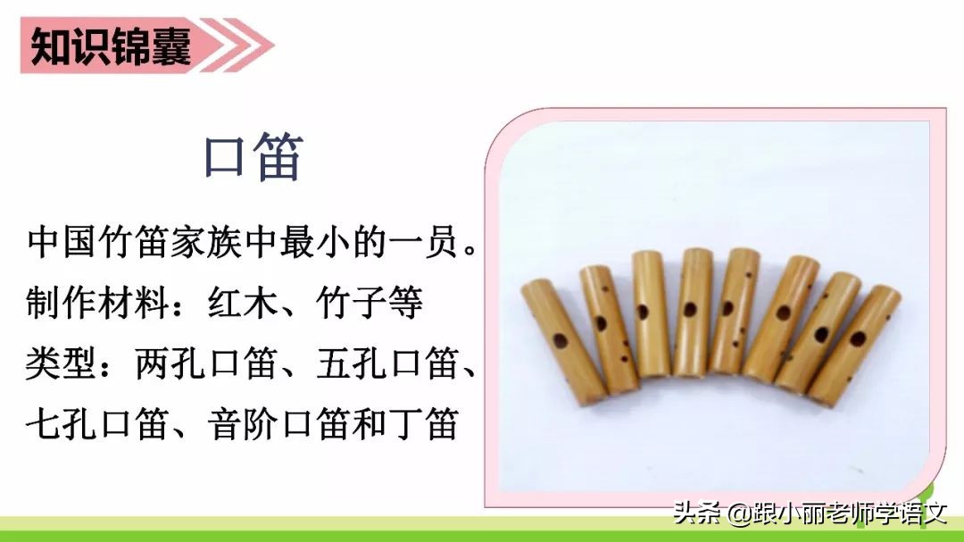 赶紧替孩子保存，复习一定用得上，三上《花的学校》知识点梳理