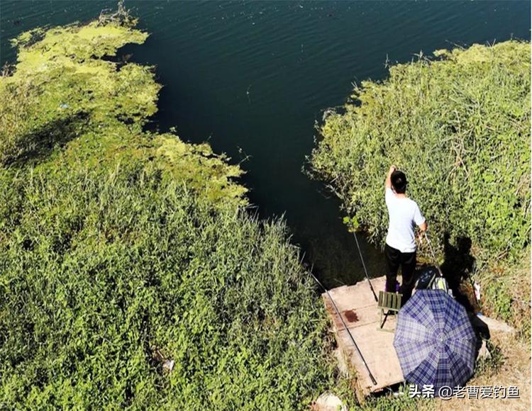 长期钓鱼的人容易得什么病,经常钓鱼对身体健康好不好