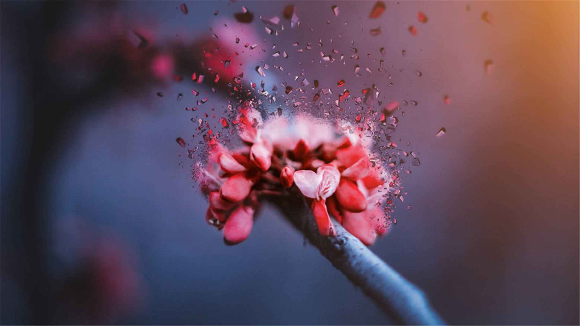 爱上一个花心的男人怎么才能放弃,爱上一个花心的男人怎么办