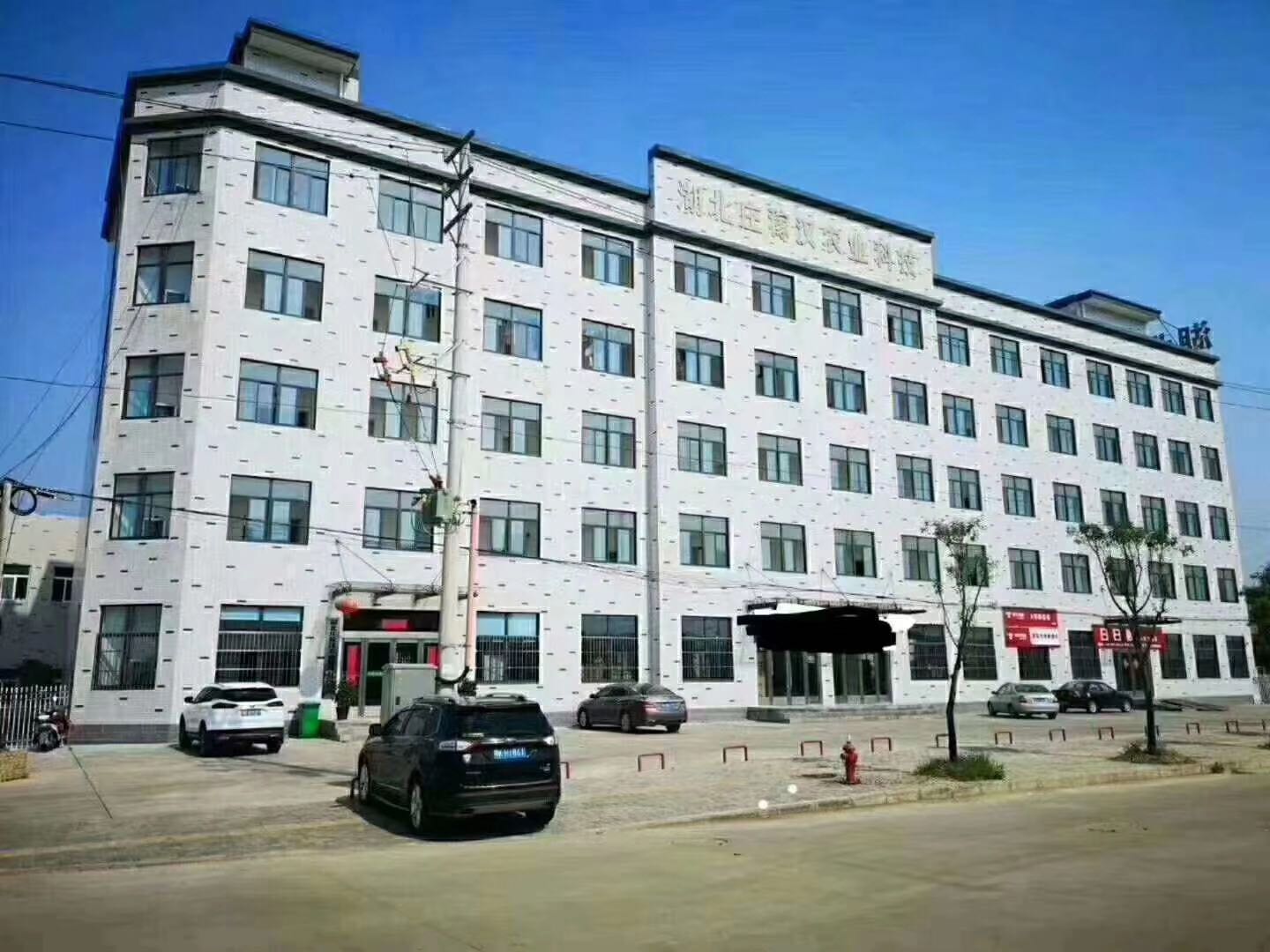 农业养殖致富项目泥鳅,水产养殖泥鳅能赚大钱