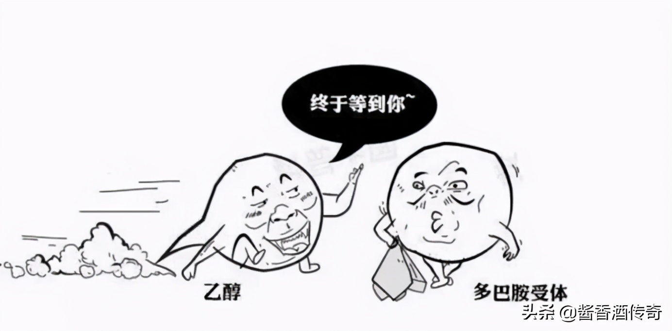 酒后是吐真言还是喝多了胡说八道,酒后讲的到底是胡话还是真话