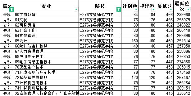 山东哪所公办本科院校有专科专业,山东男生300分专科选一个什么专业