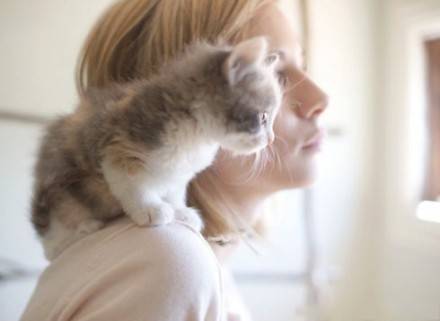 如何正确抱猫咪,猫咪走路的正确姿势