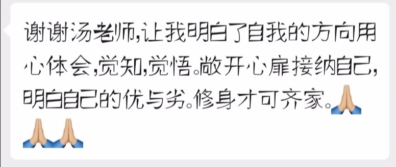 《家中的影子人2》——探索影响生命的心理动力