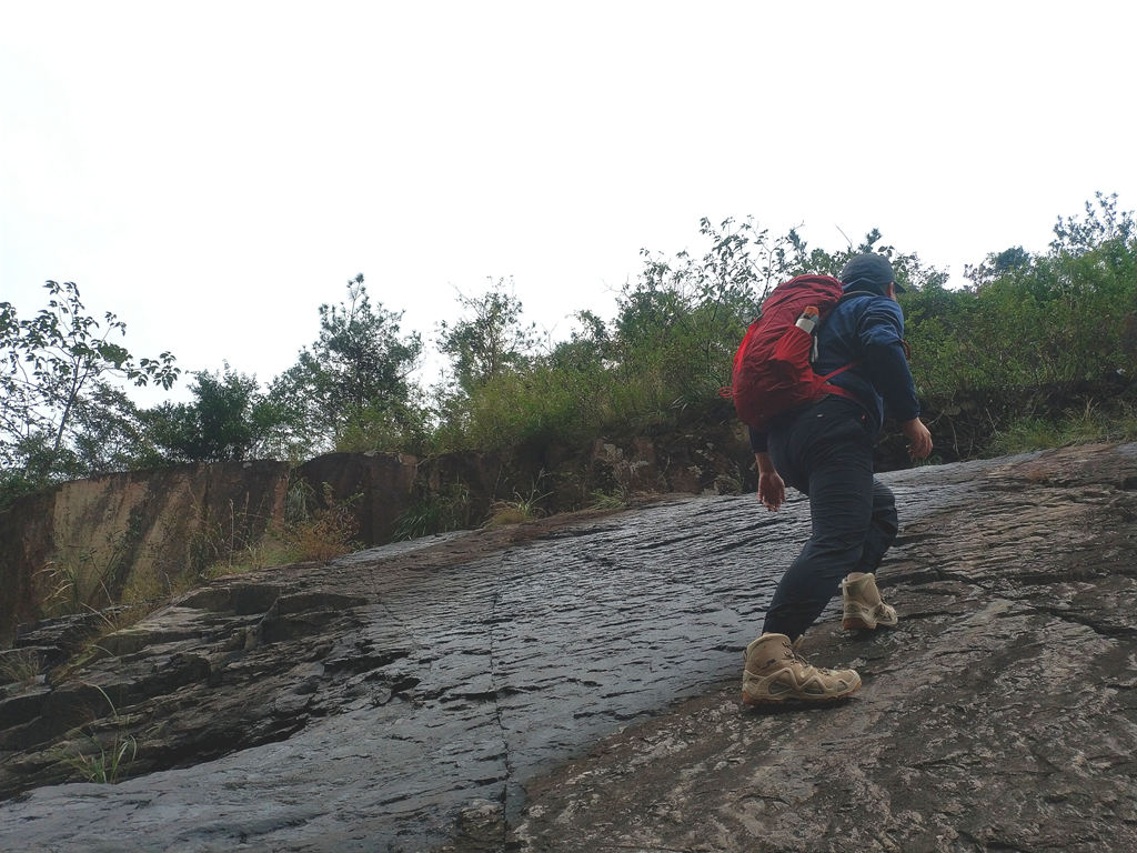 双十一买买买后的我,双十一开始剁手了吗
