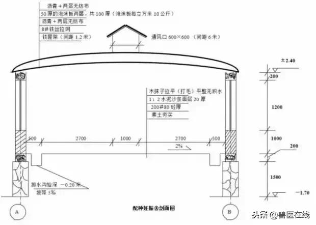 20头母猪猪舍设计图,20头母猪栏设计图