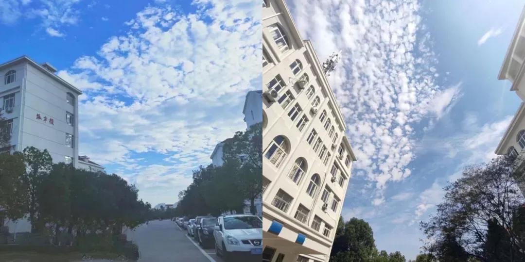 安徽文达学院信息工程学院官网,安徽33所高校预估分数线