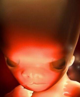 胚胎发育过程3d视频,3d还原胎儿发育全过程孕妈必看