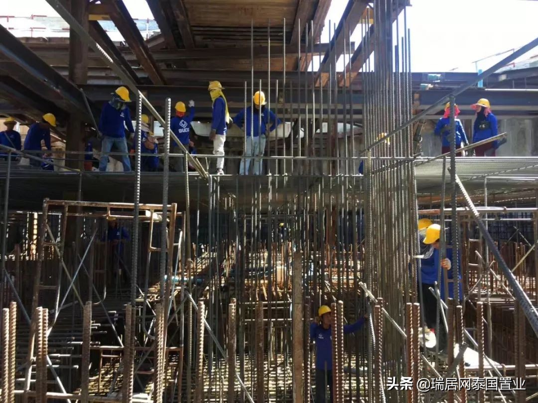 瑞居网最新消息,瑞居网