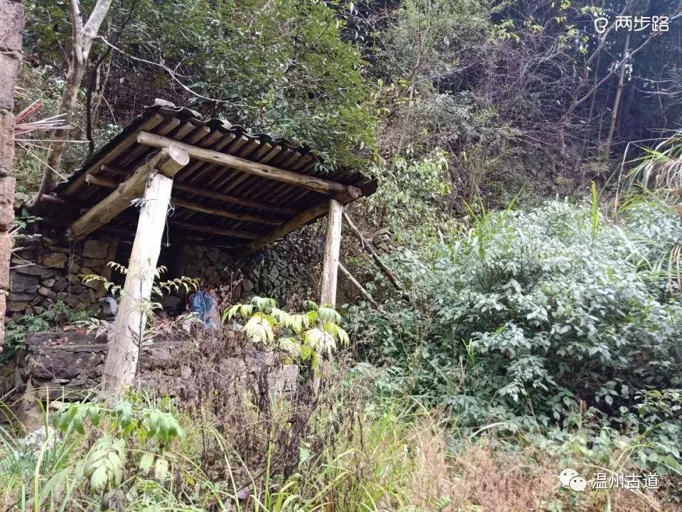 温州茶山红枫古道,浙江温州永嘉红枫古道
