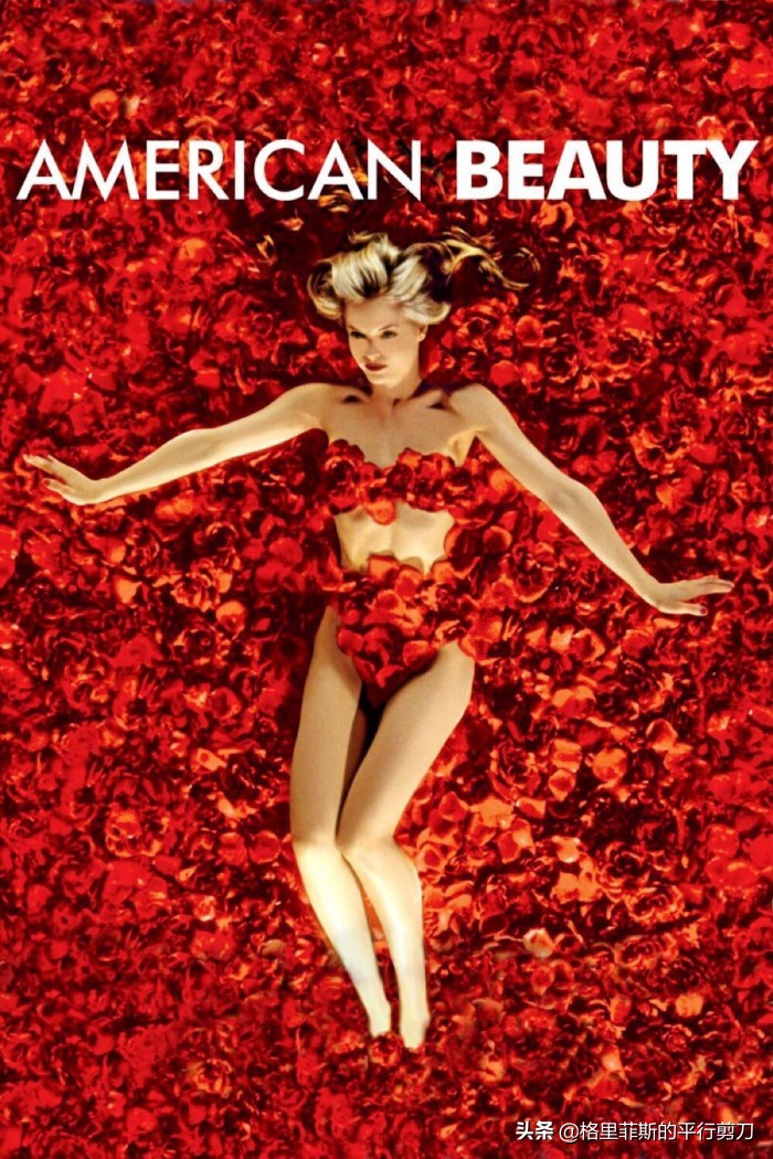 美国丽人风格,美国丽人美国风