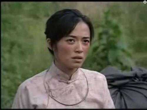 猎狐1至44集解读,猎狐2020电视剧免费观看