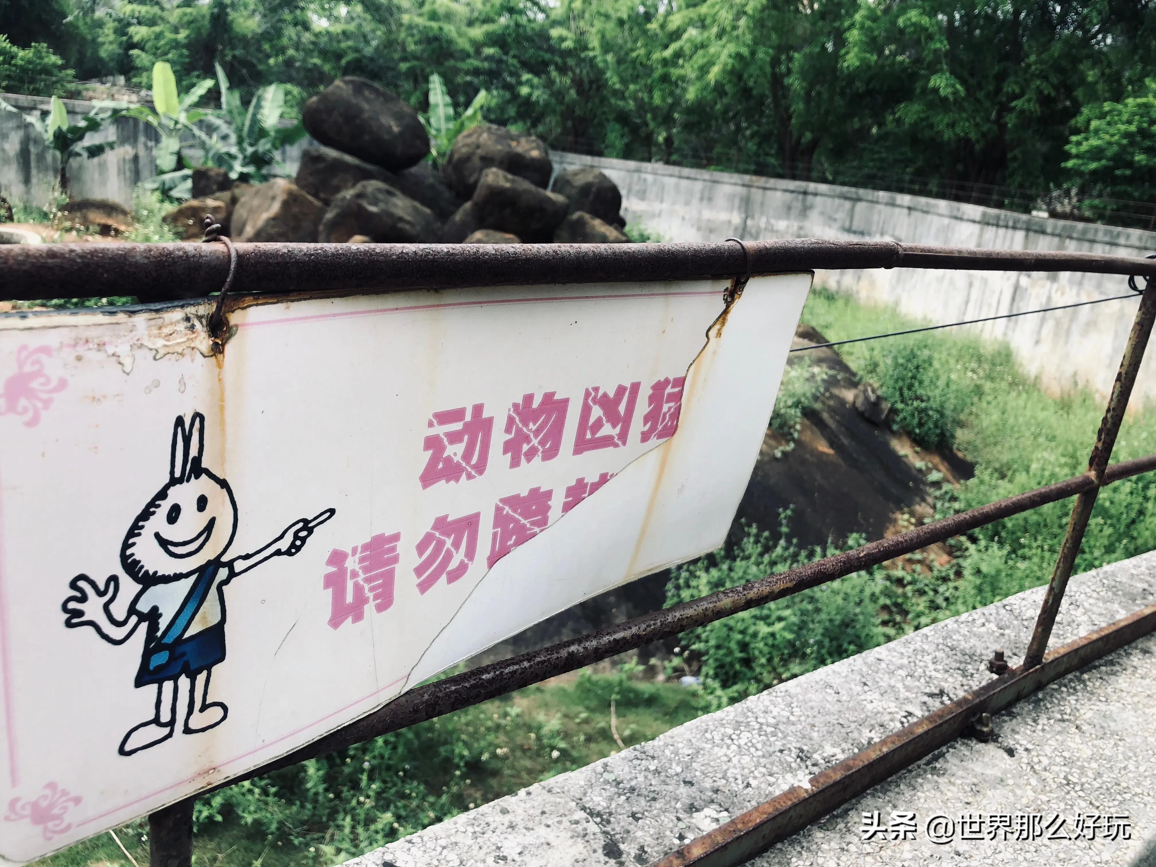 海南金牛岭动物园视频,海口金牛岭公园现在还有动物园吗