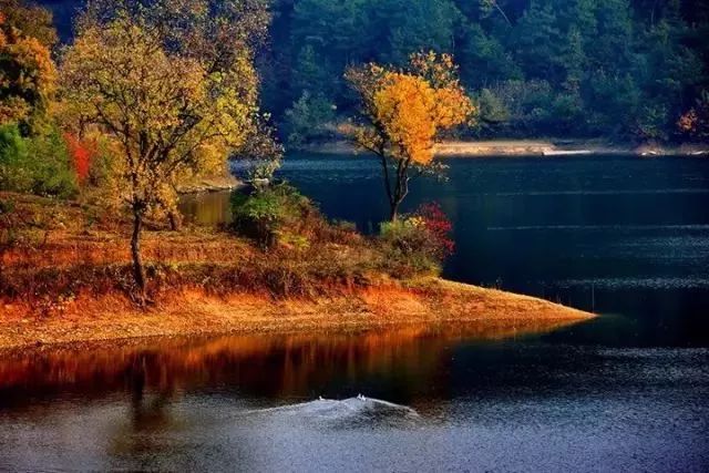 秋天最值得去的四个地方,秋天全部的风景