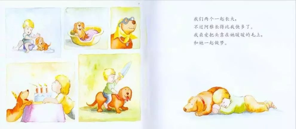 绘本我永远爱你文字内容,绘本我永远爱你视频