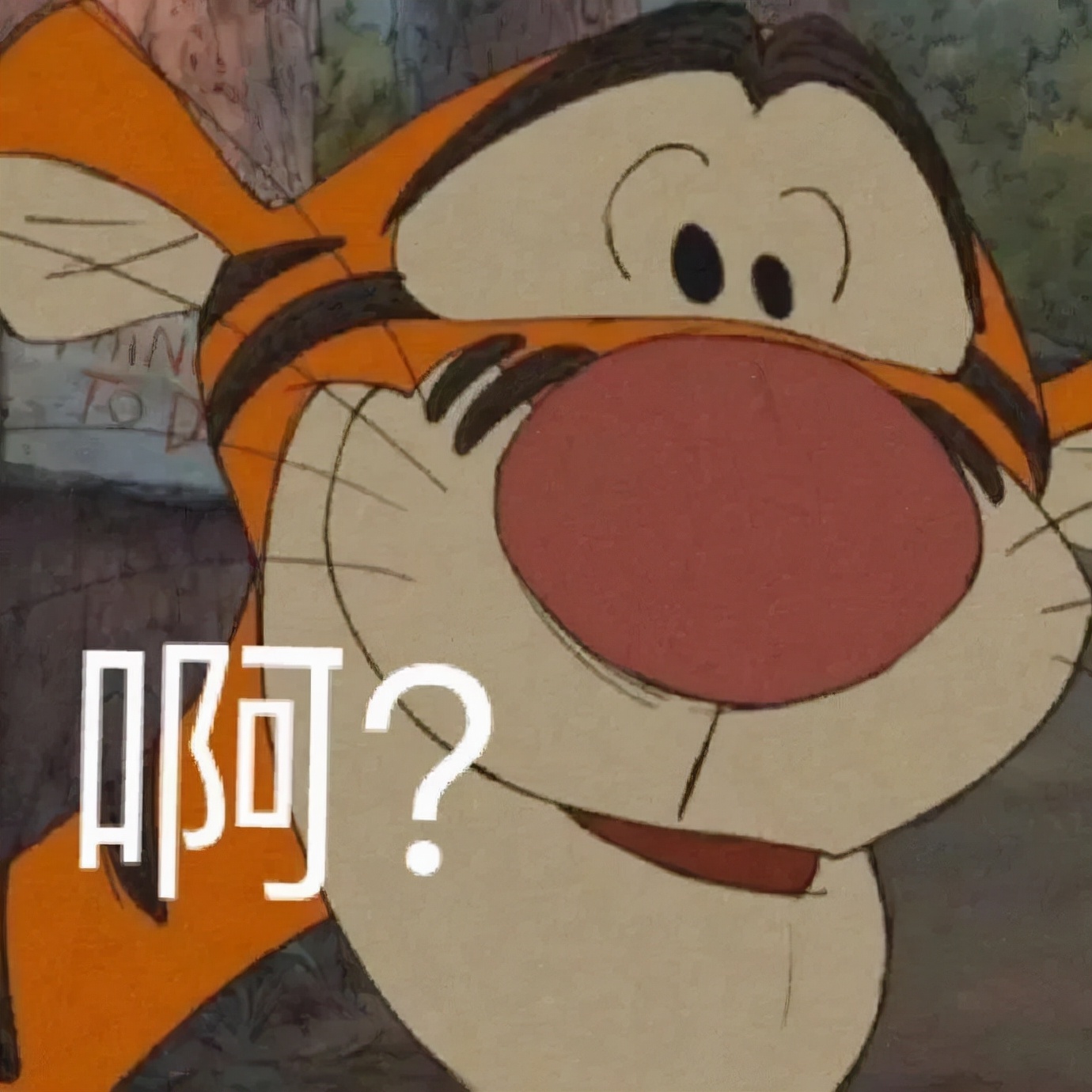 ofo在哪里退押金,ofo的押金开始退钱了吗