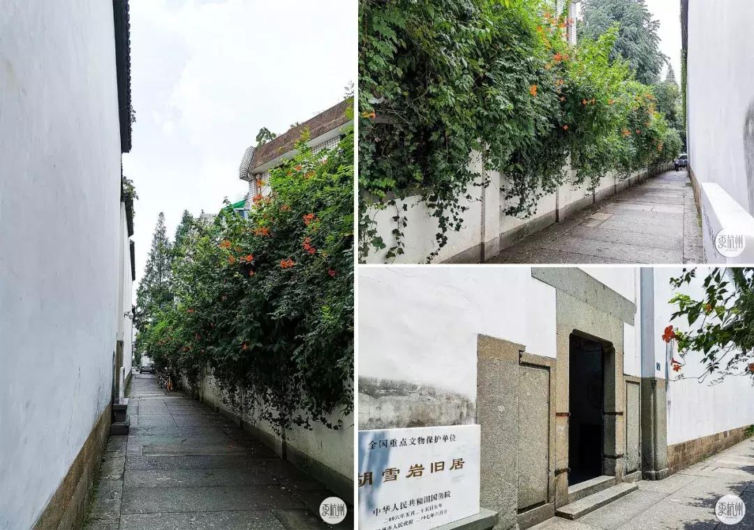 为什么中国人痴迷买房,中国人为何会对房子情有独钟