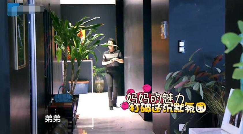 王中磊家装修风格,影视大佬王中磊的现代四合院装修