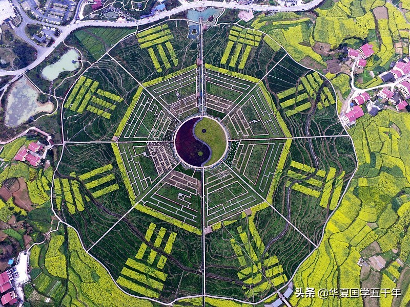 易经中的八卦及五行,易经八卦分别是哪八卦