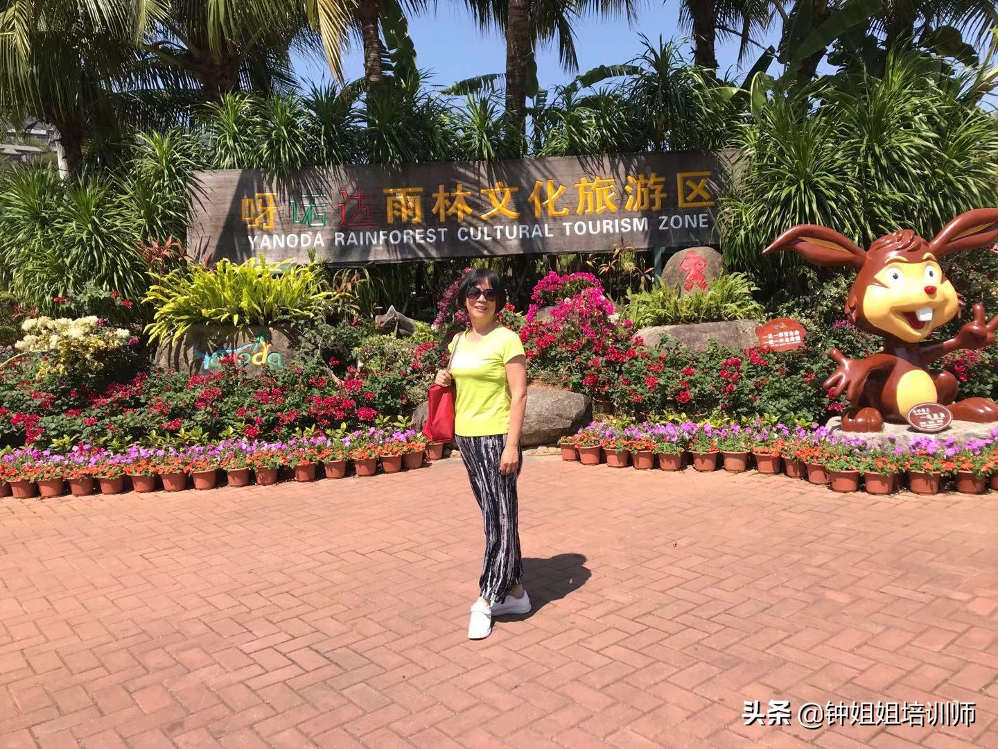 呀诺达半日游价格,呀诺达门票70岁有优惠吗