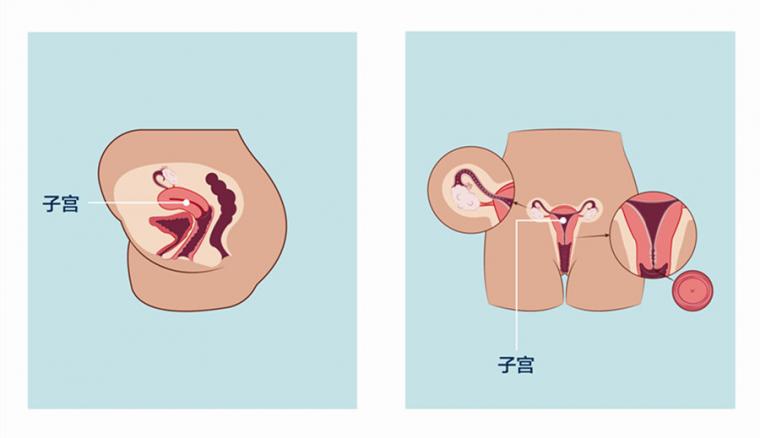 小便之后不用纸擦为什么有异味,小便之后要不要用纸巾擦