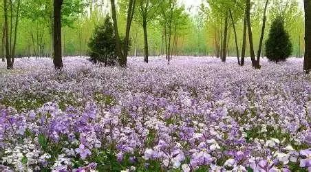 北京这38个森林公园您先收藏了!定个小目标,有空儿玩个遍!