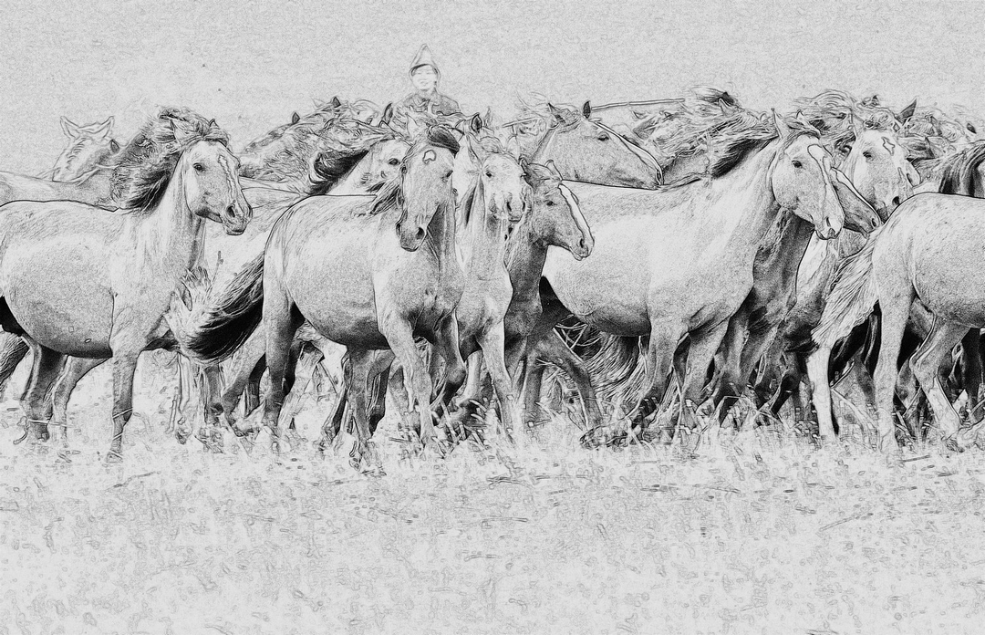 拍马都追不上的成语,拍马都赶不上的成语