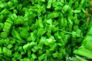 韭菜直接挂钩钓草鱼的方法,钓鱼怎么快速聚窝