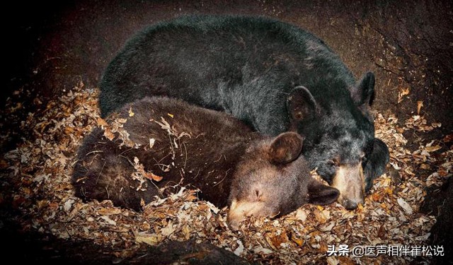 大人体温37.8度一直低烧不退,体温总是在38.9度不退怎么办