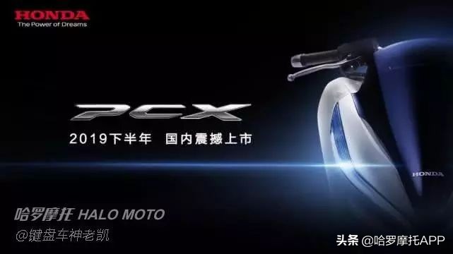 狼真的来了配图,新大洲本田和五羊本田pcx150