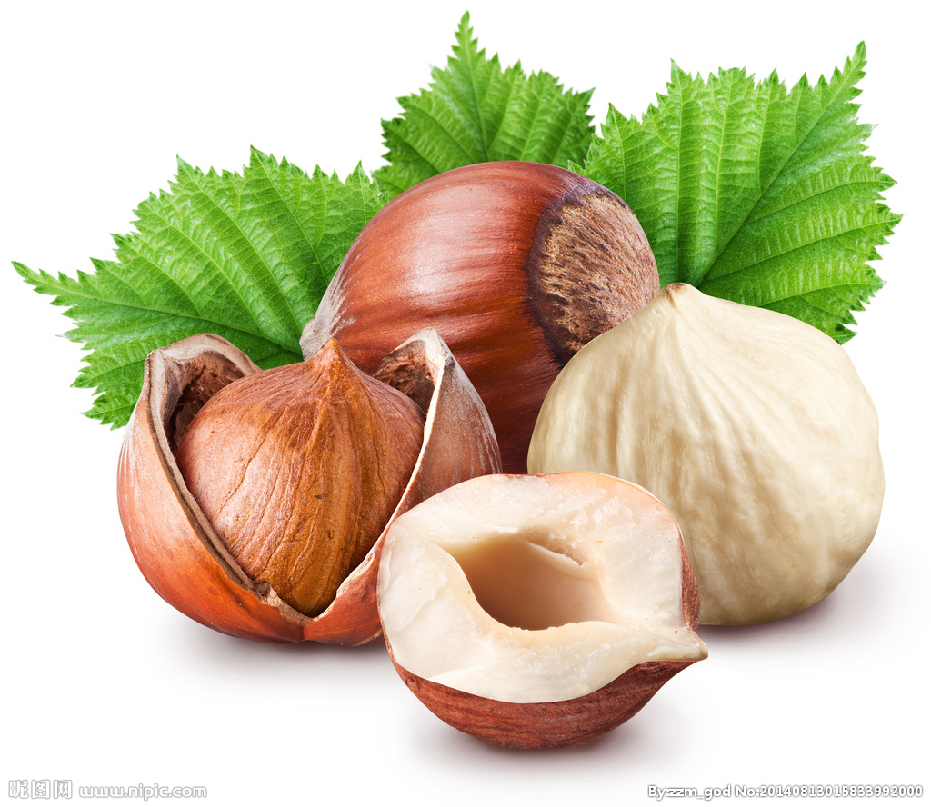 榛子是个什么干果,榛子是优质坚果吗