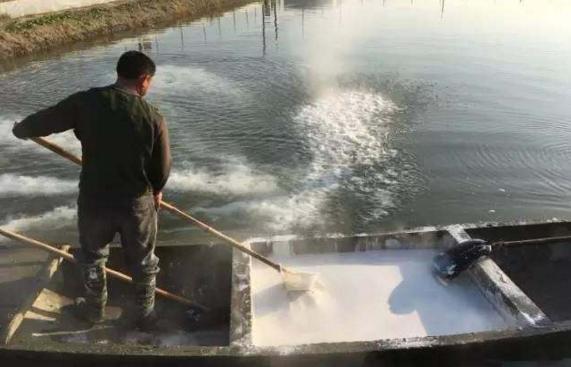 乌龟用高锰酸钾消毒的正确方法,聚维酮碘能给新买的乌龟消毒吗