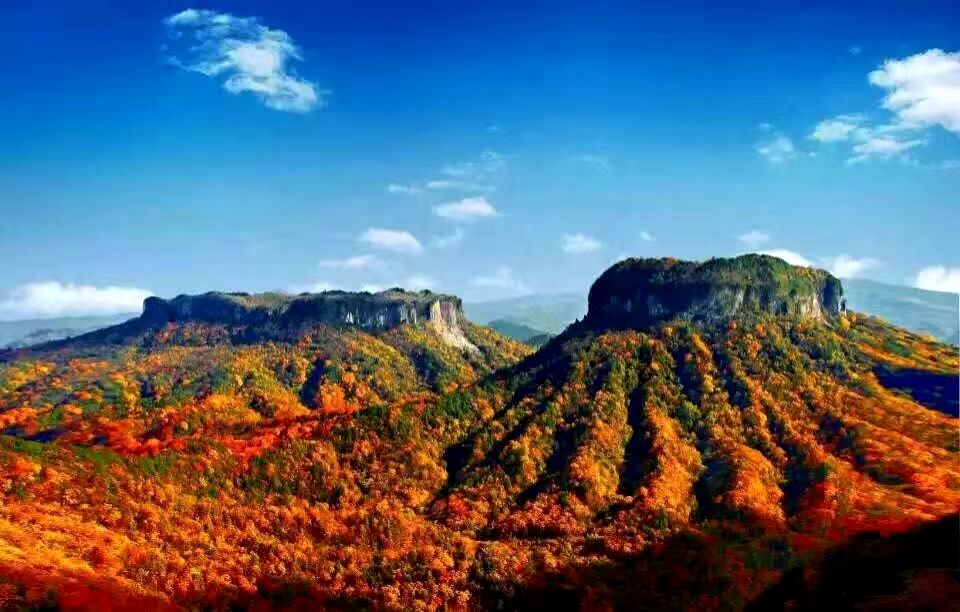 周仕兵:匠心酿出时光佳酿醉美人生