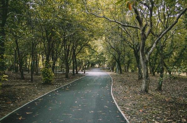 暑假泰国怎么玩,暑假去泰国旅游需带什么