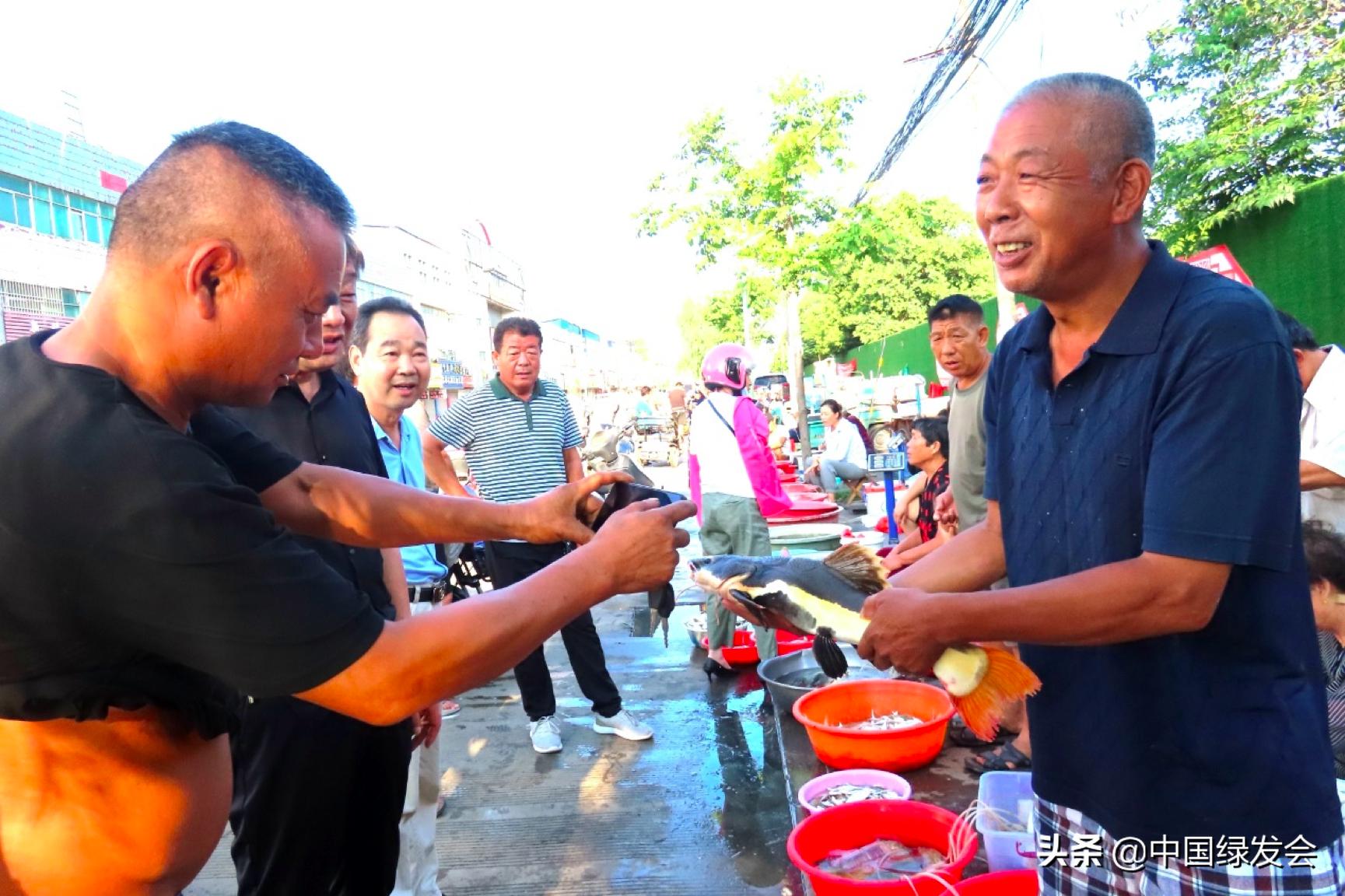 红尾鲶在亚马逊河的地位,亚马逊入侵物种