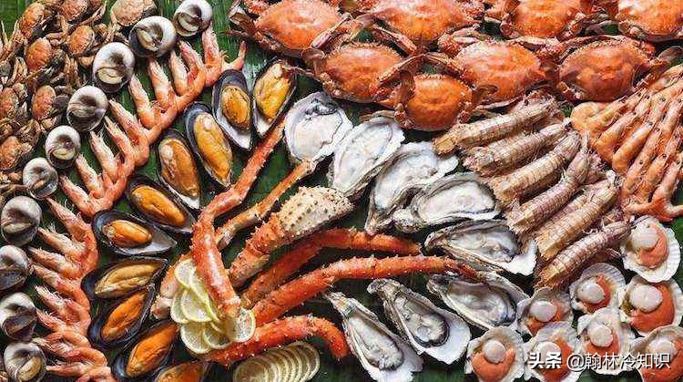 海边捡的贝壳能值多少钱,海边贝壳值钱吗